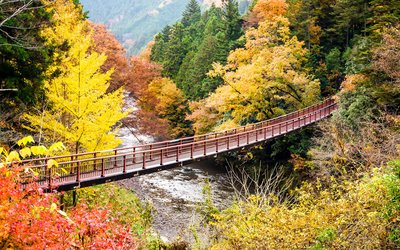 🏞️ 아키가와 계곡 이미지 2